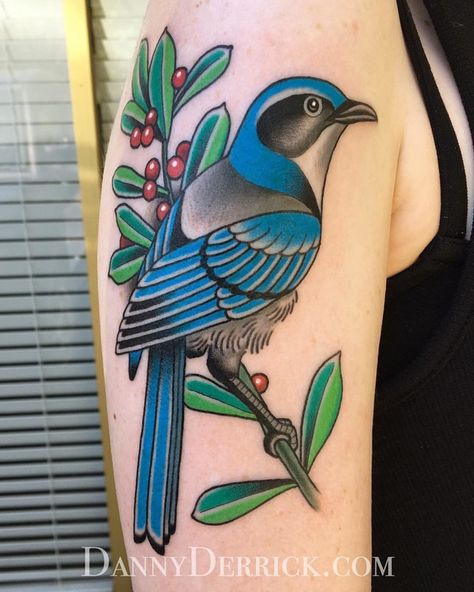 Jaybird Tattoo, Traditional Bluejay Tattoo, American Traditional Blue Bird Tattoo, Bluejay Tattoo Black And White, Blue Jay Tattoo Realistic, Bluejay Tattoo, Blue Jay With Flowers Tattoo, Private Tattoo Studio, Scrub Jay