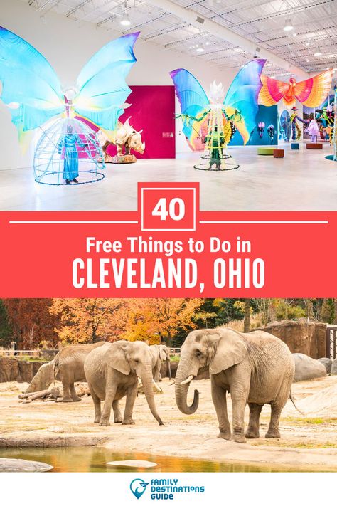 40 Free Things to Do in Cleveland, Ohio Spring Break Destinations, Ohio Travel, Free Things To Do, Cleveland Ohio, Unique Things, Culture Travel, America Travel, Travel Usa, Fun Things