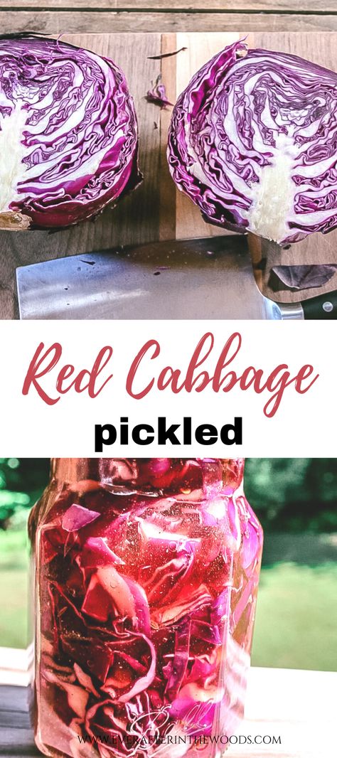 Cabbage Canning, Zucchini Pickles, Mixed Berry Jam, Pickled Red Cabbage, Red Cabbage Slaw, Celery Salt, Pickled Cabbage, Canned Food Storage, Pickling Spice