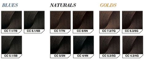 L'Oreal Professionnel Introduces Majirel Cool Cover Restore Hair Health, Chopstick Hair, Beauty Companies, Wet Brush, Colour Chart, Purple Shampoo, Natural Gold, Hair Restoration, Natural Shades