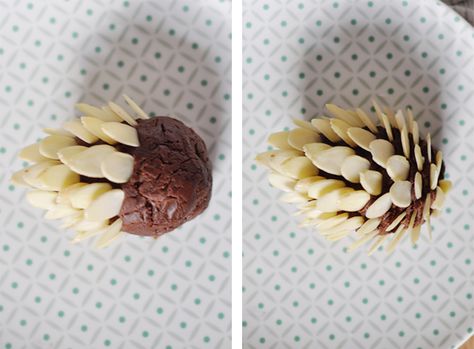 Chocolate Pinecone Cake Toppers – lark & linen Pinecone Cake Topper, Pinecone Truffles, Almond Pinecones, Edible Pinecones, Pinecone Cake, Cake Autumn, Wood Cake Stand, Country Party, Wholesome Recipes