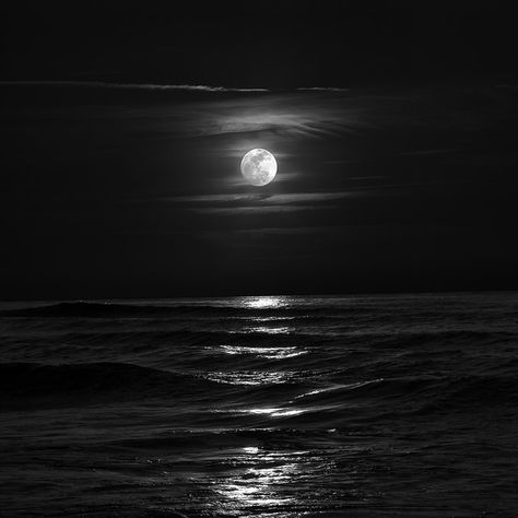 The Moon Is Beautiful, Dark Paradise, Night Scenery, Dark Pictures, Space Pictures, Arte Obscura, Foto Ideas Instagram, Black And White Aesthetic, Night Aesthetic