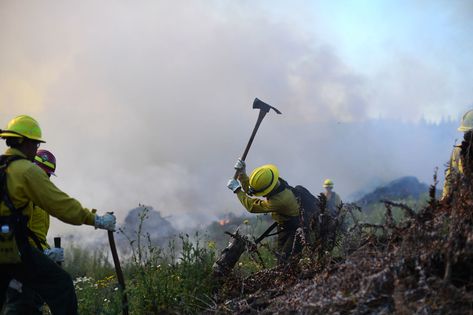 wildland firefighter photo collection #firefighter_brotherhood #firefighter #firefighters #firefighter_feuerwehr#firefighter_brotherhood #firefighter #firefighters #firefighter_feuerwehr Firefighter Brotherhood, Wildland Firefighter, Photo Collection, Firefighter