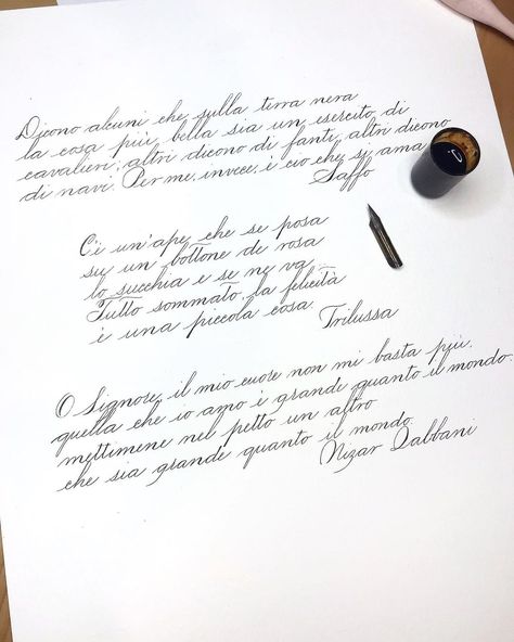 Maria | Calligraphy & Art’s Instagram post: “Practicing #spencerian script writing my husband’s favorite poems in Italian ❤️⠀ ⠀ ⠀ ⠀ Nib: Hunt 22⠀ Paper: @cansonpaper montval ⠀ Ink:…” Spencerian Script, Favorite Poems, Script Writing, Calligraphy Art, Personal Cards, School Work, My Husband, Handwriting, Calligraphy