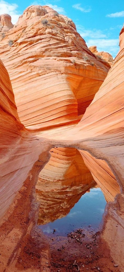 The Wave, Arizona, USA The Wave Arizona, Arizona Usa, The Wave, Creative Photography, Arizona, Wallpapers, Photography