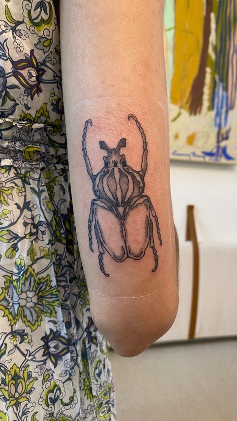 goliath beetle tattoo Beetle Scientific Illustration, Goliath Beetle Tattoo, Beetle Tattoos, Bug Tattoos For Women, Goliath Beetle, Shield Bugs, Beetle Tattoo, Bug Tattoo, Insect Tattoo