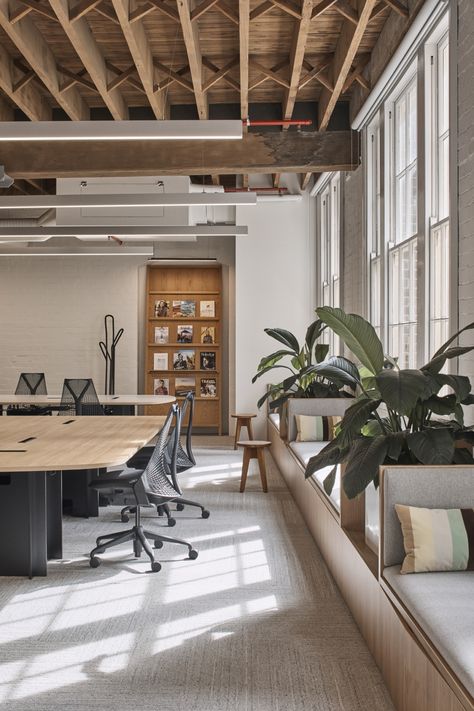 Scandinavian Office Interior, Scandinavian Office Design, Scandinavian Office, Open Office Design, Natural Office, Commercial Office Design, Australian Interior Design, Office Space Design, Interior Design Awards