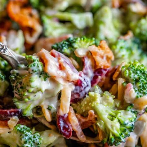 Easy Broccoli Bacon Salad - The Food Charlatan Broccoli Salad With Bacon, Texas Recipes, Broccoli Bacon, Broccoli Salad Bacon, The Food Charlatan, Easy Broccoli, Chocolate Bundt, Cinnamon Honey, Food Charlatan