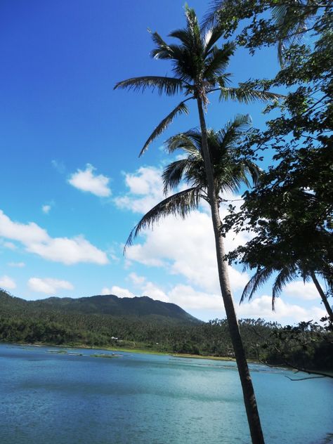 chilling time in Lake Yambo, one of the seven lakes of San Pablo, Laguna, Philippines Laguna Philippines, The Seven, Philippines, Lake, Natural Landmarks, Water, Travel, Nature