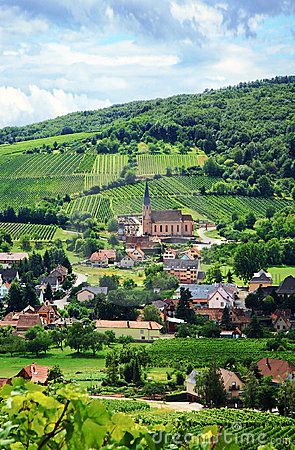 Alsace France, Wine Travel, Small Village, Beaux Villages, French Countryside, Wine Region, Alsace, France Travel, Lush Green