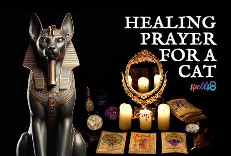 Healing Prayer for a Beloved Cat: Blessings of Goddess Bast Healing Spells For Animals, Cat Healing Spell, Cat Healing, Goddess Of Egypt, Ancient Egyptian Goddess, Egyptian Deity, Egyptian Cat, Healing Spells, Egyptian Symbols