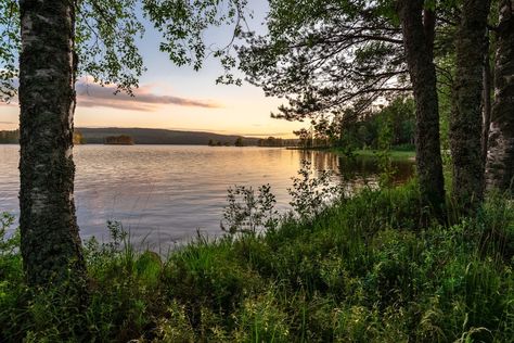 Calm Pictures, Fishing Lake, Big Lake, Tree Light, Lake Photos, Blue Sky Background, Lake Fishing, Tree Photography, Photo Beautiful