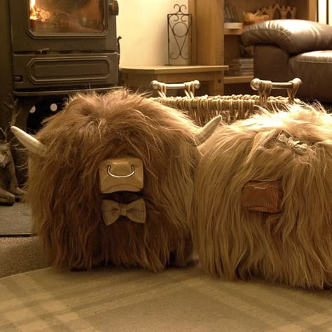 Couple of Cuties! Highland cow footstools from Tweed Yourself, link to our website in our Bio Highland Cow Living Room, Cow Pictures Decor Living Room, Cow Pictures Decor, Highland Nursery, Cow Living Room, Highland Cow Pictures, Cow House, Pictures Decor, Cute Furniture