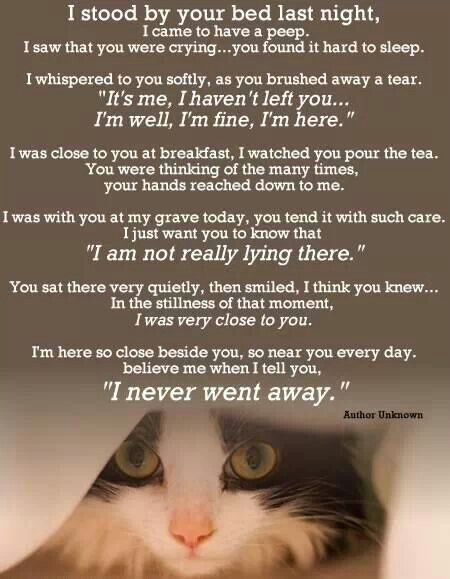 I do believe this....I know all my animals are in heaven with my God (Jehovah) and also are very near to me as He is....'To be absent from the body is to be with the Lord'...'Jesús is Lord of all'....'all' means exactly that.... Pet Poems, Pet Remembrance, Game Mode, I'm Fine, Cat Memorial, Cat Quotes, Tarzan, Pet Loss, Animal Quotes