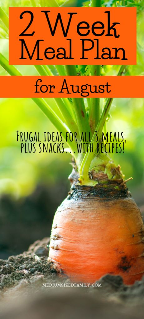 2 Week Meal Plan for late August. Get frugal meal planning ideas for your summer menu! All meals and snacks. Includes recipes! Looking for meal ideas to eat in August or summer? This list of meals will give you a great start. 2 Week Meal Plan, List Of Meals, Frugal Meal Planning, Meal Planner Printable Free, Meals For Four, Budget Freezer Meals, Meal Planning Ideas, Large Family Meals, Clean Eating Lunch