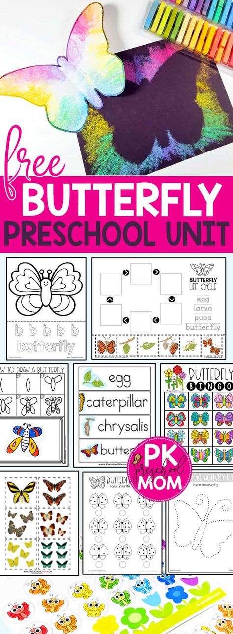 Painted Lady Butterfly Activities, Bugs And Butterflies Preschool Theme, Butterfly Theme For Preschool, Butterfly Art Activities For Preschool, Butterfly Curriculum Preschool, Pre K Butterfly Activities, Butterfly Lifecycle Preschool, Butterfly Unit Preschool, Butterfly Preschool Theme