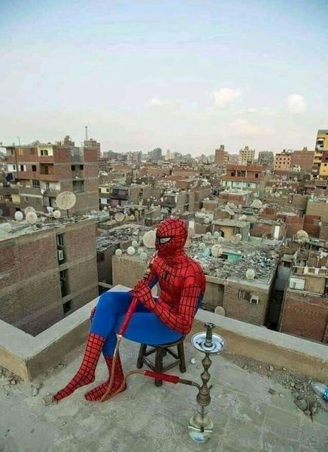 Spiderman Meme, Spiderman Funny, Superhero Memes, Social Art, Strange Photos, Silly Faces, Jokes In Hindi, Superhero Movies, Super Hero Costumes