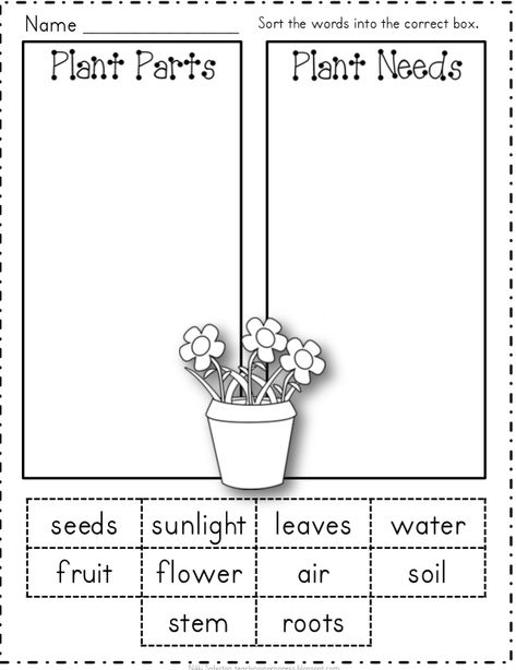 OUR ENGLISH CLASS: Let´s prepare for Spring time!!: plants and flowers دورة حياة النبات, Plant Lessons, Plants Worksheets, Plant Parts, Plant Activities, Plants Unit, 1st Grade Science, First Grade Science, Plant Science