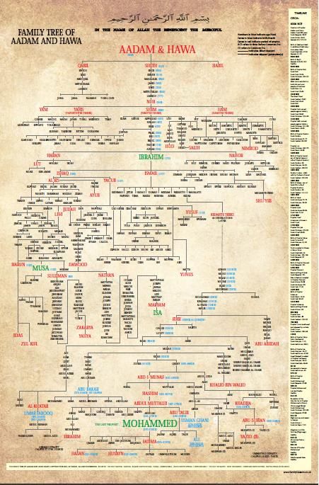 Family Tree of Aadam and Hawa Family Tree Of Adam And Hawa, Tata Family Tree, All Prophets In Islam, Adam And Hawa, Tafsir Coran, Prophets In Islam, Mekka Islam, Seni Khat Islam, Prophet Muhammad Quotes