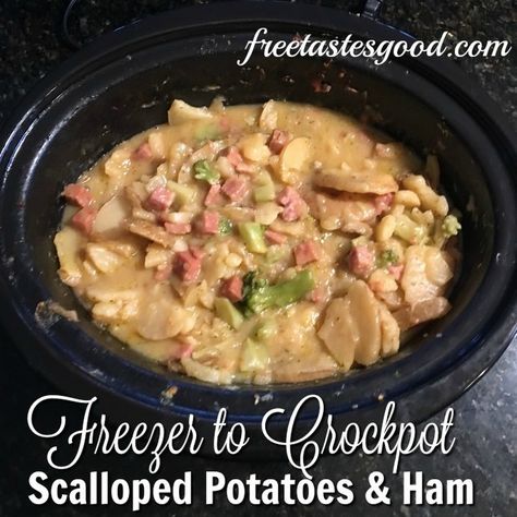 Freezer to Crockpot Scalloped Potatoes and Ham! | Free Tastes Good! Freezer Sides, Freezer Preserving, Crockpot Scalloped Potatoes And Ham, Crockpot Scalloped Potatoes, Crockpot Ham And Potatoes, Ham And Potatoes, Amazing Dinners, Scalloped Potatoes Crockpot, Freezer Prep