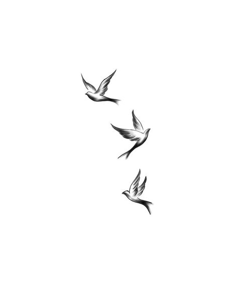 Heaven Birds Tattoo, 3 Birds Tattoo Design, 5 Birds Tattoo, Forearm Bird Tattoo Women, Birds On A Branch Drawing, Turtle Doves Tattoo, Swift Tattoo Birds, Tiny Bird Tattoos For Women, 3 Little Birds Tattoo Bob Marley