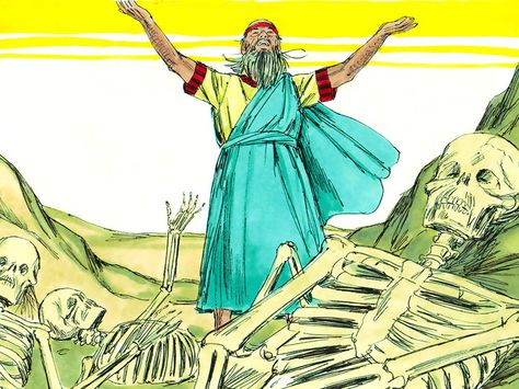 God shows Ezekiel a vision in which a valley of dry bones comes to life. (Ezekiel 37:1-14) Free visuals Ezekiel Dry Bones, Book Of Ezekiel, Valley Of Dry Bones, Ezekiel 37, Corpus Museum, Preschool Bible Lessons, Bible Object Lessons, Dry Bones, Free Stories