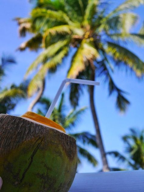 Coconuts Beach, Nature Story, Coconut Drinks, Instagram Planner, Beachy Outfits, Fresh Coconut, Traditional Dance, Tropical Beaches, Kerala India