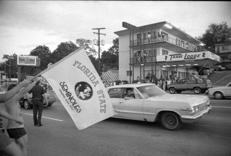 Florida Memory - Celebration of FSU victory on Tennessee Street - Tallahassee, Florida. 1984 Fsu Gameday, Tallahassee Florida, Florida State Football, Florida Hotels, Florida State University, Florida State Seminoles, University Of Miami, Vintage Florida, Florida State