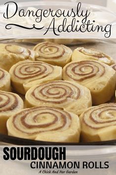 Sour Dough Discard Cinnamon Buns, Morning Cinnamon Rolls, Cinnamon Baking, Sourdough Cinnamon Rolls, Dough Starter, Sourdough Starter Discard Recipe, Discard Recipes, Food Bread, Bread Starter