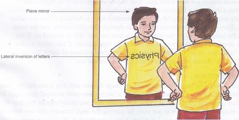 Image Reflection by a Plane Mirror - A Plus Topper #PropertiesofPlaneMirror Plane Mirror, Physics Projects, Mirror Words, First Plane, Revision Notes, Rays Of Light, Metal Surface, By Plane, A Plane