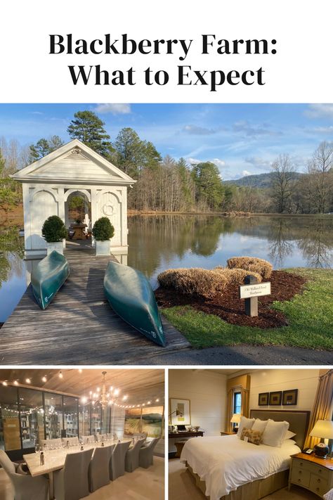 Blackberry Farm Review: What to Expect On Your Vacation Blackberry Farms Tennessee, Blackberry Farm Tennessee, Blackberry Farm, Retirement Strategies, Blackberry Farms, Family Trips, Farm Stay, Life Well Lived, Travel List