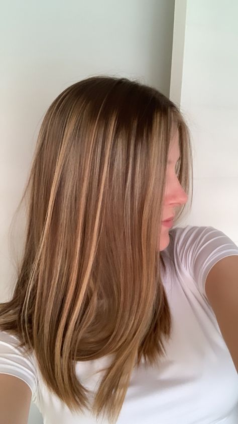 rachel green hair, blond brunette balayage, honey blond brown, hair inspo 2023 Rachel Green Hair Color Highlights, Blonde Rachel Green, Brown Hair Golden Highlights, Rachel Green Hair Color, Blond Brown Hair, Rachel Cut, Balayage Honey, Rachel Green Hair, Blond Brunette