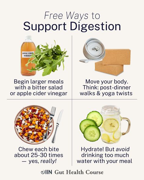 The holidays have become synonymous with compromised gut function. 😵‍💫 We're traveling, enjoying different foods, and breaking from our routines.  Read our blog for 6 pro tips on nourishing your gut!  #protips #guthealth #microbiome #prebiotic #probiotic #digestiontip #nutritionschool #holidaytips Digestive Bitters, Dark Leafy Greens, Integrative Nutrition, Ate Too Much, Move Your Body, Wellness Programs, Mindful Eating, Different Recipes, Digestive Health