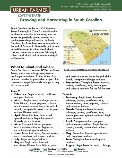 Gardening In South Carolina, South Carolina Garden, South Carolina Flower Beds, South Carolina Plants, South Carolina Gardening, When To Transplant Seedlings, Gardening 2023, Vegetable Planting Calendar, Garden Homestead