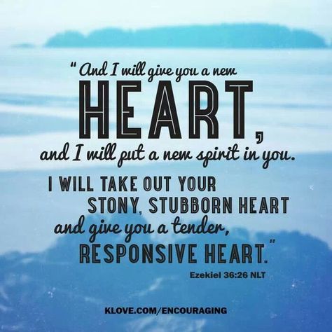 I want a new heart, a clean heart, a servant's heart, a heart like Jesus Christ. Hardened Heart, Heart Bible Verse, Wisdom Bible, Scripture Images, S Heart, Inspirational Scripture, How He Loves Us, New Heart, Favorite Bible Verses