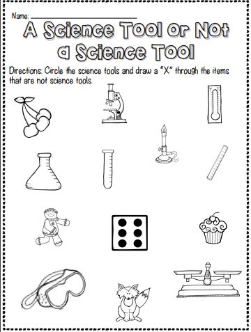 Science Tool or Not? Interactive Worksheet – Edform Science Tools Activities Preschool, What Is A Scientist Kindergarten, Kindergarten Science Experiments Easy, What Is A Scientist Activity, Science For Kids Worksheets, Science Tools Worksheet, Science Kindergarten Worksheets, Science Tools Activities, What Do Scientists Do