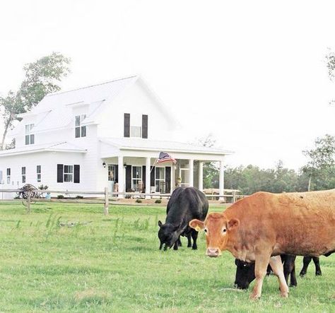 After I featured 5 versions of the Sugarberry Cottage house plan recently, a reader told me about Brittany’s, and I think it’s my favorite yet! She built it with her husband Andy and says, “I am total Farmhouse With Animals, Sugarberry Cottage, Farmhouse Style Lighting, Farming Life, Cottage Farmhouse Decor, Old Stove, Dream Farmhouse, Exterior Inspiration, Farm Living