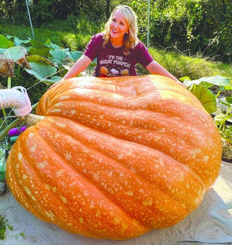 Pumpkin Growing, The Greenbrier, Giant Pumpkin, Growing Pumpkins, Arts And Crafts House, Large Plants, Holiday Celebration, Pumpkins, Holidays