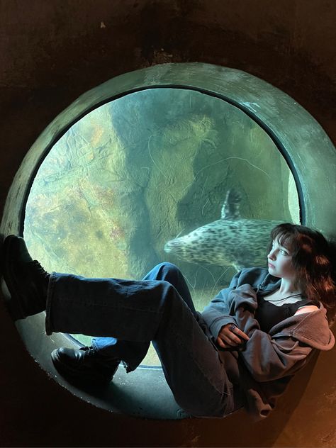 A seal swam right beside me …… lol Aquarium Aesthetic, Dream Date, A Seal, Realistic Art, Antelope Canyon, Fish Tank, Photo Inspiration, Aesthetic Pictures, Art Reference