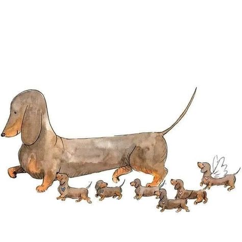 Arte Dachshund, Doxie Art, Dachshund Illustration, Dachshund Quotes, Dachshund Art, Mom Art, Dachshund Lovers, Dachshund Puppies, Dachshund Puppy