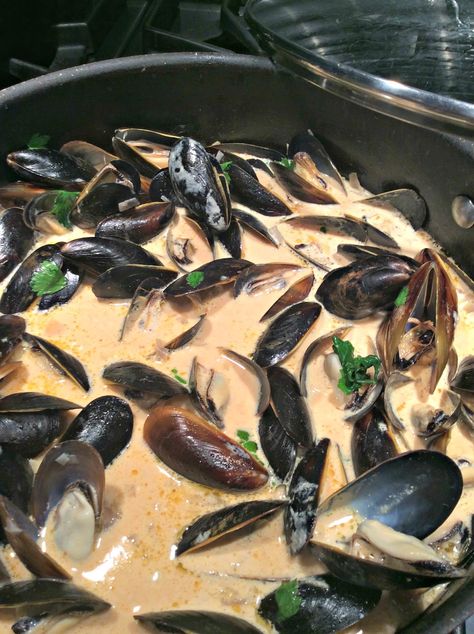 Coconut Curry Mussels, Mussels Recipes, Mussel Recipes, Curry Broth, Curry Mussels, Thai Salmon, Thai Sauce, Mussels Recipe, Shellfish Recipes