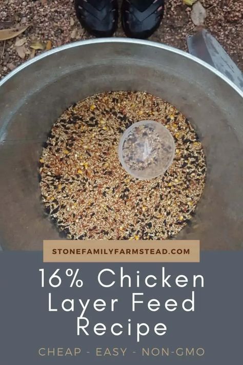 Chicken Feed Diy Homemade, Making Chicken Feed, Homemade Chicken Feeders How To Make, What To Grow For Chickens To Eat, Grow Your Own Chicken Feed, How To Make Your Own Chicken Feed, Homemade Chicken Feed For Layers, Aesthetic Chicken Coop, Chicken Feed Recipe