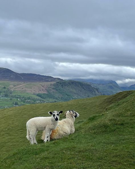 📍 Latrigg, The Lake District 3.5km | 1 hour Route details below 👇 Rising gracefully to an elevation of 368 meters, Latrigg may not be one of the tallest peaks in the Lake District, but it certainly holds its own. It’s a great family-friendly fell and one of the best walks near Keswick. Save for your next trip to Keswick 😍 🥾 Route Details ✨ Drive to the hamlet of Applethwaite, just a mile from Keswick, and park at the top of Applethwaite Lane in the roadside car park. ✨ Go through th... Lake District Aesthetic, Keswick Lake District, Lake District Walks, Lakes District, Lake Windermere, Aesthetic Board, The Lake District, Peaceful Life, Own It