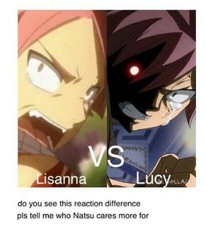 Fairy Tail Meme, Fairy Tail Quotes, Fairy Tail Funny, Fairy Tail Family, Fariy Tail, Fairy Tail Love, Fairy Tail Nalu, Fairy Tail Lucy, Fairy Tail Guild