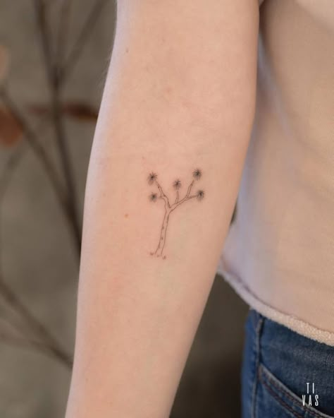 Fine Line Joshua Tree Tattoo, Simple Joshua Tree Tattoo, Dainty Desert Tattoo, Tree Tattoo Fine Line, Joshua Tree Drawing, Fine Line Tree Tattoo, J Letter Tattoo, Jt Tattoo, Joshua Tattoo