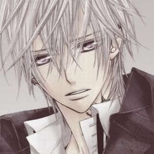 Zero Kiryu, Vampire Knight, Chapter 3, I Said, The Story, Hair, Anime, Beauty