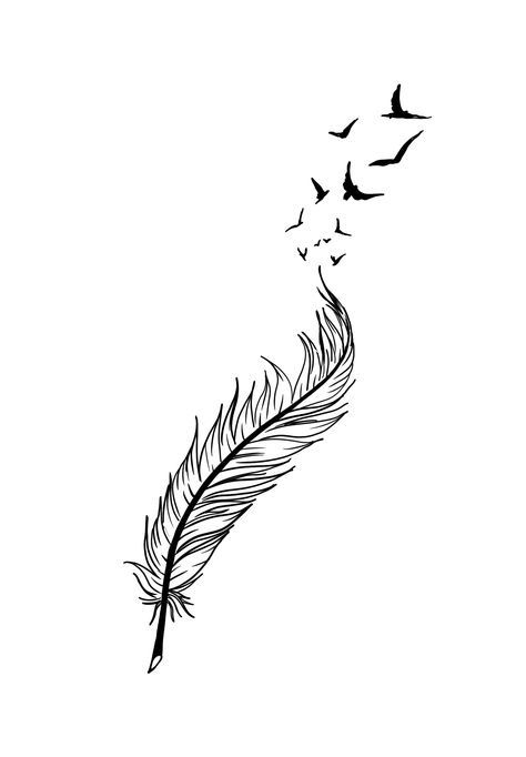 Neck Feather Tattoo, Feather Sketch, Tattoo Espalda, Cornrow Designs, Tattoo 2024, Feather Tattoo Design, Tree Of Life Tattoo, Feather Tattoo, Feather Tattoos