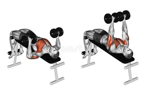 Bench Press Workout, Dumbbell Press, Trening Fitness, Chest Muscles, Chest Workouts, Triceps Workout, Chest Workout, Dumbbell Workout, Gym Workout Tips