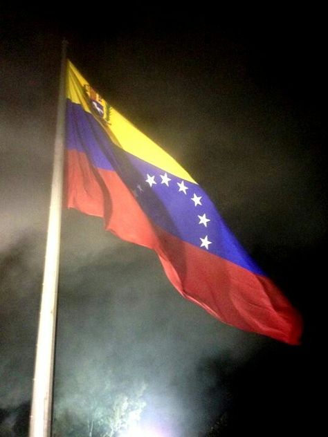 VENEZUELAN FLAG Venezuelan Flag, Sky Landscape, Flags Of The World, Wind Sock, Flag