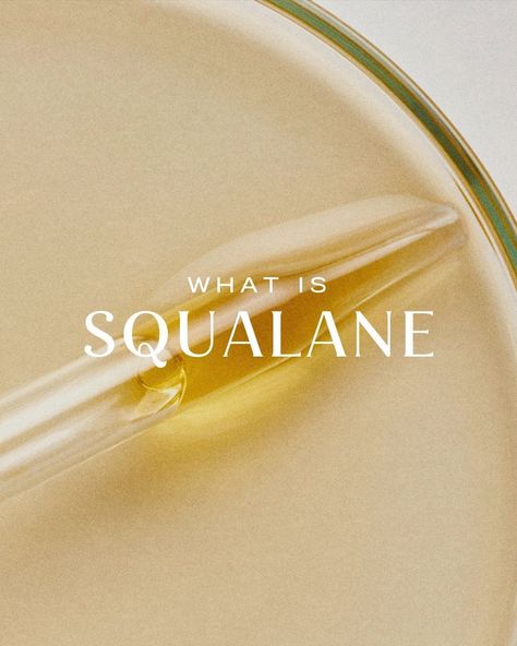 What is Squalane?⁠ ⁠ Squalane, the hydrogenated version of squalene, is a saturated oil derived from the olive plant that’s used in skin care products as an anti-inflammatory moisturizer. It helps increase hydration and repair dry, rough skin to improve skin texture and appearance. ⁠ ⁠ Squalane is often compared to hyaluronic acid, as it is biomimetic and has many benefits that hyaluronic acid does not, such as its antioxidant properties and its sensoriality. ⁠ ⁠ It is also known to strengt... Olive Plant, Rough Skin, Improve Skin Texture, Skin Texture, Gummy Bears, Skin Care Products, Improve Skin, Hyaluronic Acid, Care Products